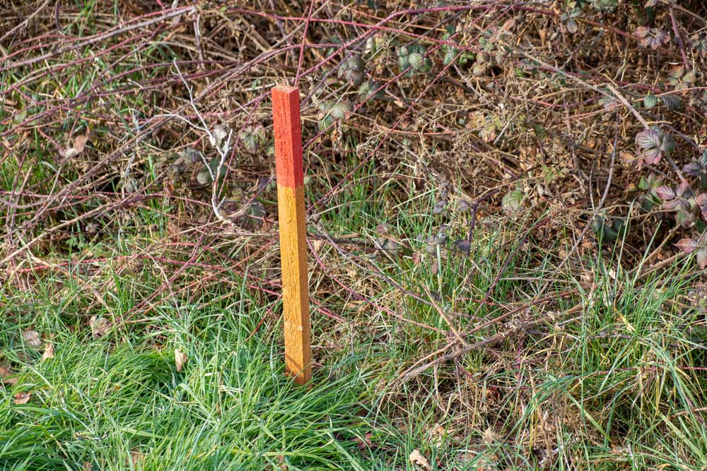 Survey Peg On A Property