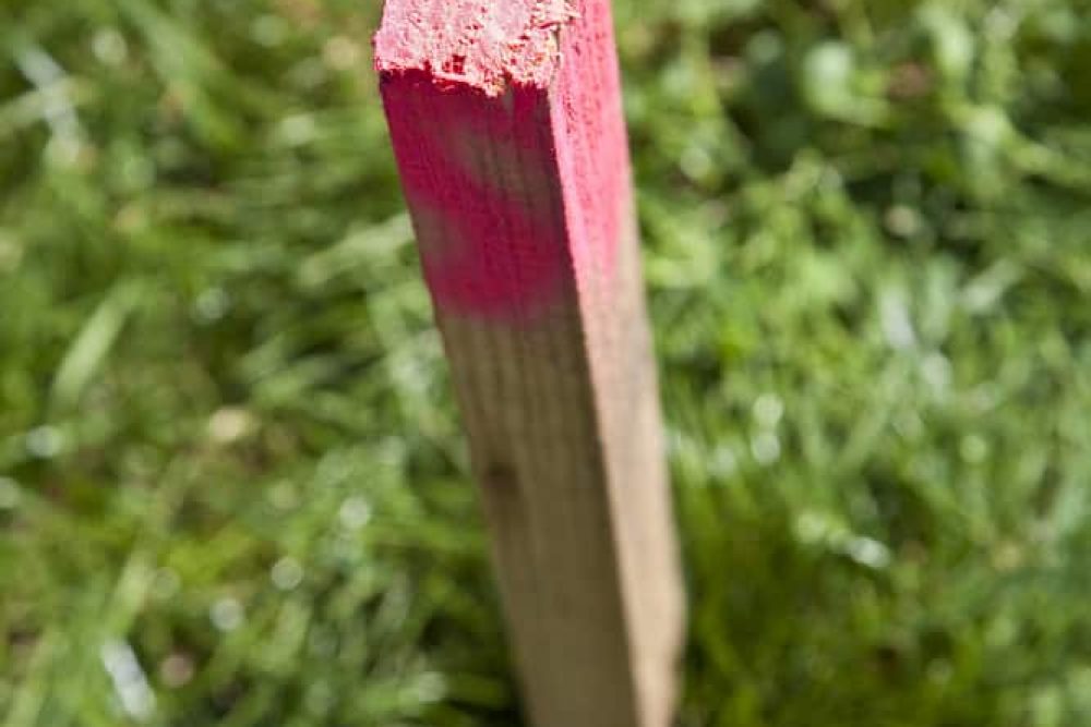 Survey Peg With Red Paint On Top