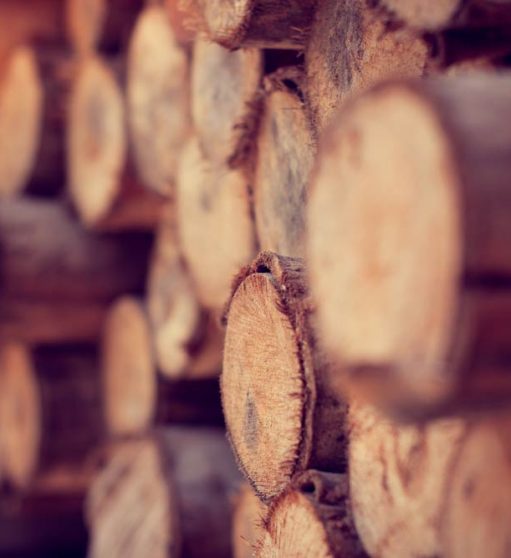 Timber Wood Stack Together — Premium Pegs for Surveying & More in Heatherbrae, NSW