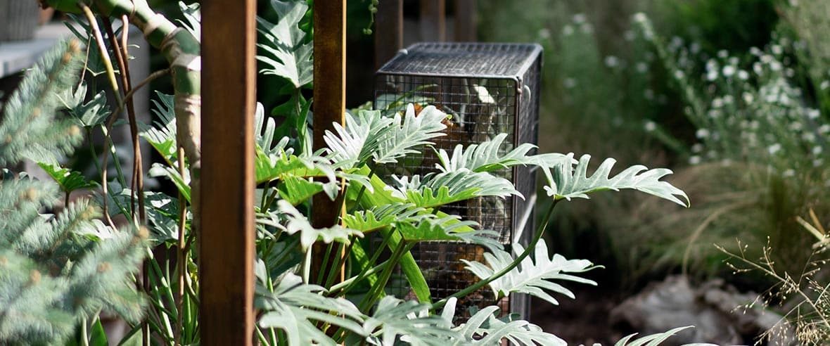 Plants with Pegs at the Side — Premium Pegs for Surveying & More in Newcastle, NSW