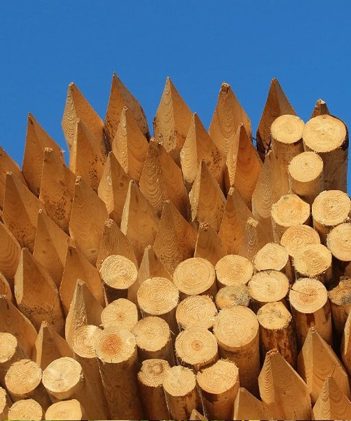 Wood Pegs — Premium Pegs for Surveying & More in Newcastle, NSW